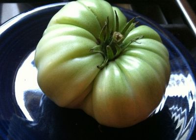Green Tomato.jpg